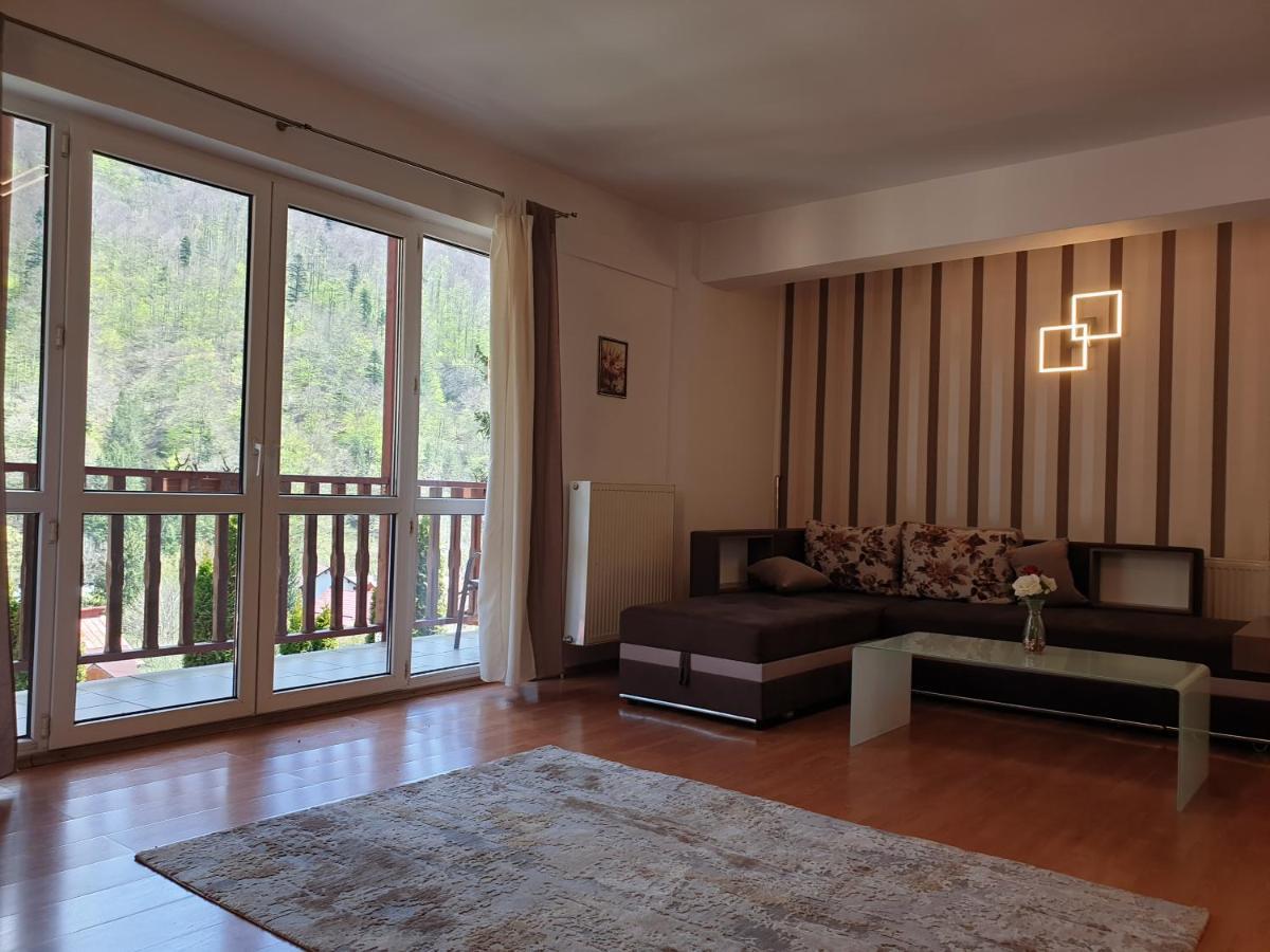 Sinaia Alex Apartments Экстерьер фото