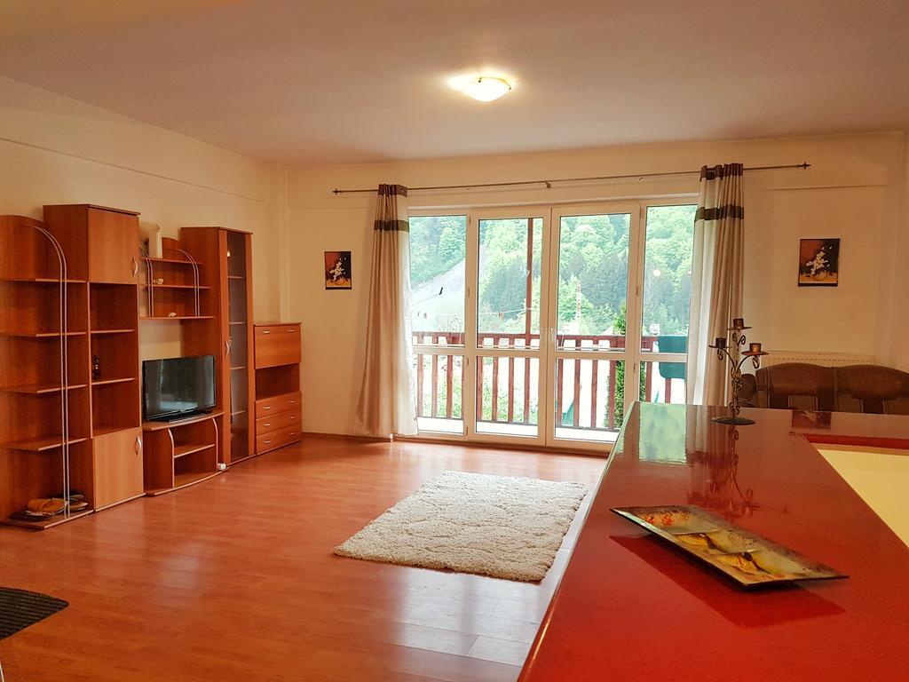 Sinaia Alex Apartments Экстерьер фото